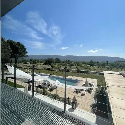 Les pins du Luberon