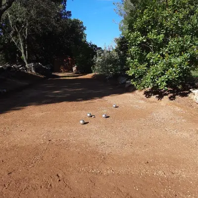 three birds sitting on the ground in a dirt road at La bastide de Cocagne in Rognes