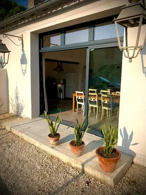 two potted plants in front of a house at Viva la vida in Entraigues-sur-la-Sorgue