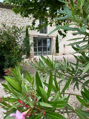 a garden with green plants in front of a building at LE MAS MILA in Monteux