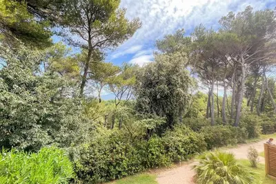 a dirt road through a forest with trees at Maison en Provence - Les Bastidons du Ventoux in Aubignan