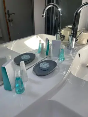 a bathroom counter with two blue plates and a sink at Maison Campagne Aixoise in Éguilles