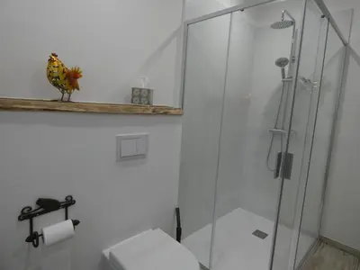 a white bathroom with a shower and a toilet at Mas Seraphin in LʼIsle-sur-la-Sorgue