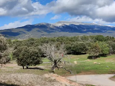 a mountain in the distance with trees in a field at LE CHARME DU VENTOUX in Crillon-le-Brave
