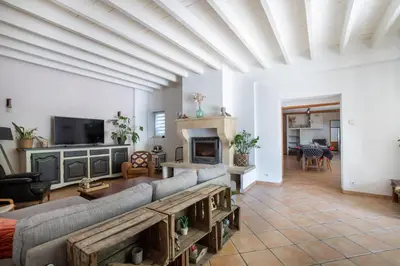 a living room with a couch and a fireplace at Mas provençal 14 personnes - parking privé in Le Thor