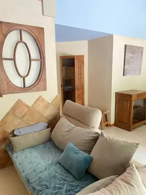 a living room with a couch with pillows at Cécile - Mas de Rousseau in Eyragues