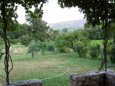 a garden with a hose in a field with trees at Les Vendangeurs, gîte au milieu des vignes face au Luberon in Goult