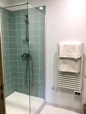 a bathroom with a shower with green tile at Logement neuf, tout confort, au coeur du village in Saint-Didier