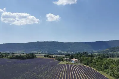 an aerial view of a field with a house at La Petite Reine Du Ventoux in Sault-de-Vaucluse