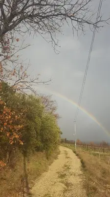 a dirt road with a rainbow in the distance at La Pifote in Villes-sur-Auzon