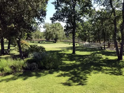 a park with trees and green grass and trees shadows at La Bergerie Provencale - Luberon - Provence - villa with heated pool in Roussillon