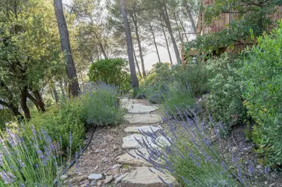 a path in a garden with purple flowers and trees at Le Chant des Pins Lodge & Spa Tour de Keyrié in La Mignarde