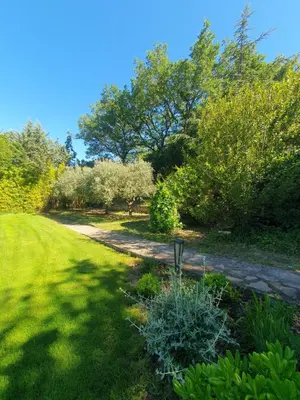 a garden with trees and bushes and a dirt road at Mas du Tilleul - LUBERON in Cadenet