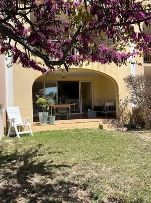 a potted plant on a patio with a view of a lake at Vue lac avec accès piscine à vague in Mallemort