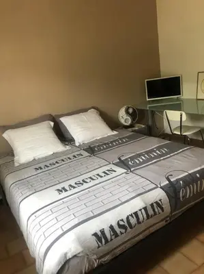 a bedroom with a large bed in a room at Studio Proche L'Isle sur Sorgue in Le Thor