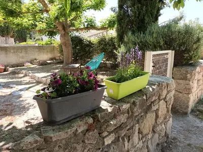 two pots of flowers on a stone wall at Maisonnette rénovée en campagne in Velleron