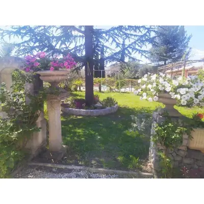 a garden with flowers in vases and a tree at maison piscine privée Robion Luberon idéal famille in Robion en Luberon