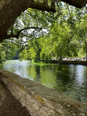 a body of water with trees and a river at Appartement fontaine de Vaucluse in Fontaine-de-Vaucluse