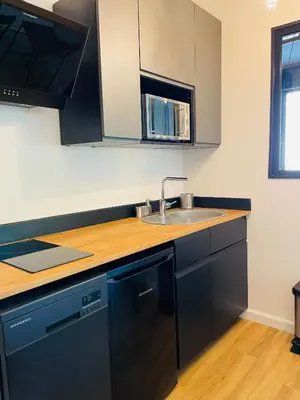 a kitchen with black cabinets and a sink at L’Écrin in Aix-en-Provence