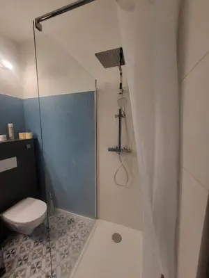 a bathroom with a shower and a toilet at Appartement Cosy centre ville in LʼIsle-sur-la-Sorgue