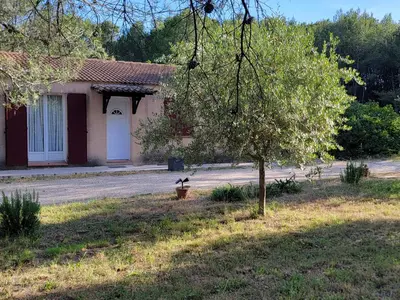 a house with two birds sitting in a pot next to a tree at Maison T4, campagne Provençale calme, tout confort in Lambesc
