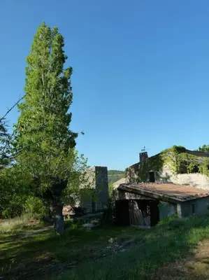 an old building and a tree in a field at Provencal farmhous Lubéron, swimming pool in Revest-des-Brousses