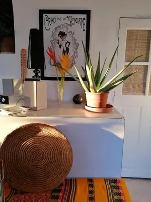 a desk with a potted plant on top of it at Chambre d'hôte in Crillon-le-Brave