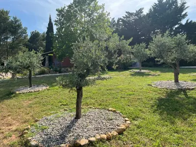 a group of three trees in a yard at Proche Roussillon, La villa rouge Luberon, piscine chauffée, climatisation et vue Luberon in Gargas