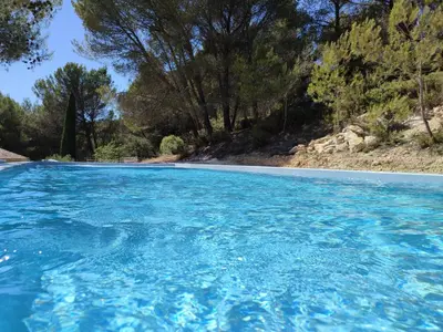 a pool of blue water with trees in the background at Écrin de nature sous les pins in Aurons