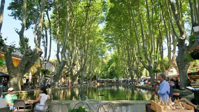 a group of people sitting around a pond in a park at Charmante maison de village au coeur du Luberon in Cucuron