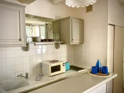 a kitchen counter with a microwave and a sink at Studio le Méditerranée in Aix-en-Provence
