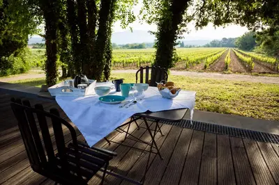 a table with a white table cloth on a deck with a vineyard at Château La Croix Des Pins in Mazan
