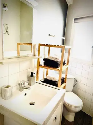 a bathroom with a white sink and a toilet at Appartement Le Provençal in Aix-en-Provence