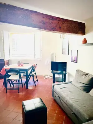 a living room with a table and a couch at Appartement Le Provençal in Aix-en-Provence