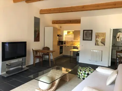 a living room with a couch and a tv at Appartement avec terrasse. in Apt