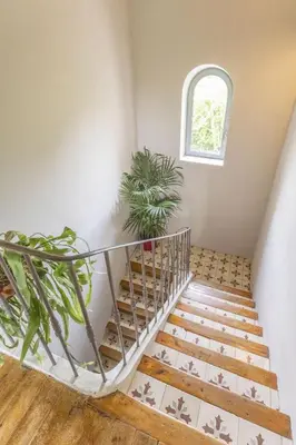 a staircase with a window and a plant at Mas Le Cerf in Eyragues