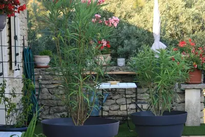 two large blue pots with plants in a garden at Chambre d'hôtes chez Maguy B-Villa Makeire in Gordes