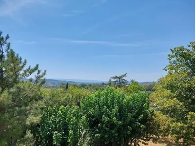 a group of trees and bushes in a field at Maison de César in Saint-Saturnin-les-Apt