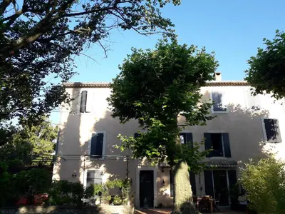 a white house with a tree in front of it at Le mas de l'Auzon in Carpentras