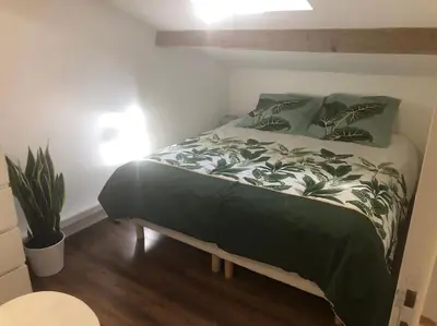 a bedroom with a bed with a green comforter at Villa Provence Baraka centre-ville in Salon-de-Provence