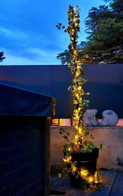 a christmas tree with lights in a pot at La pause en luberon in Cavaillon