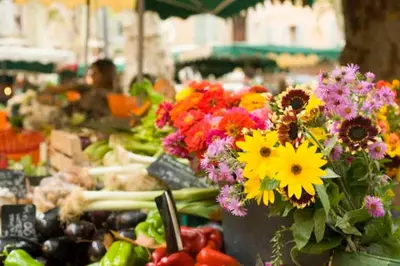 a display of flowers in buckets at a market at Le Cardinale - Un Voyage en Provence - 2 chambres avec parking in Aix-en-Provence