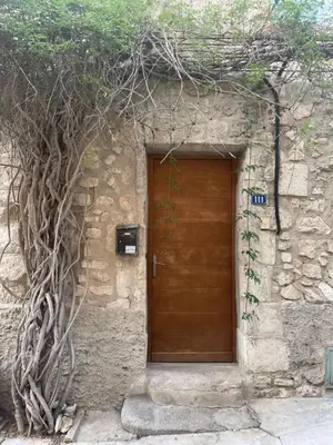 a building with a wooden door next to a tree at Maison de village in Pernes-les-Fontaines