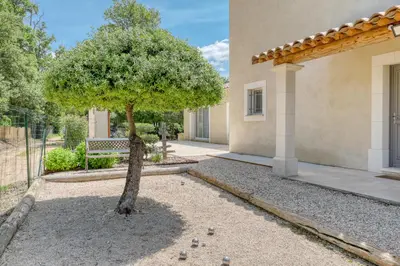 a tree in the courtyard of a house at Gite neuf avec piscine Bio uv in Saint-Saturnin-les-Apt