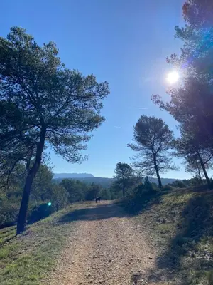 a dirt road with trees on the side of a hill at Tiny Harmony - Logement confortable avec jardin et jacuzzi privés près d’Aix en Provence in Venelles