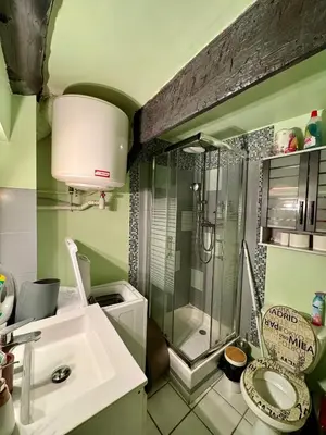 a bathroom with a shower and a sink and a toilet at Studio cosy hypercentre Aix in Aix-en-Provence