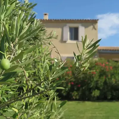 Gite LE PETIT LUBERON COQUELICOT