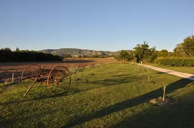 a metal object sitting in the middle of a field at Mas Clement - Chambre et table d'hôtes in LʼIsle-sur-la-Sorgue