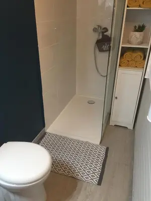 a bathroom with a shower with a toilet and a rug at Appartement Emil centre ville in Carpentras