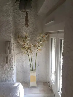 a vase of flowers in a room with a window at Appartement Emil centre ville in Carpentras